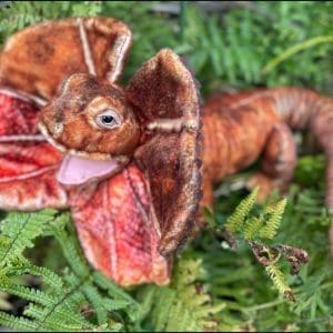 Large Frilled Lizard Plush