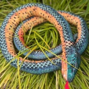 Blue and Orange Snake Plushy