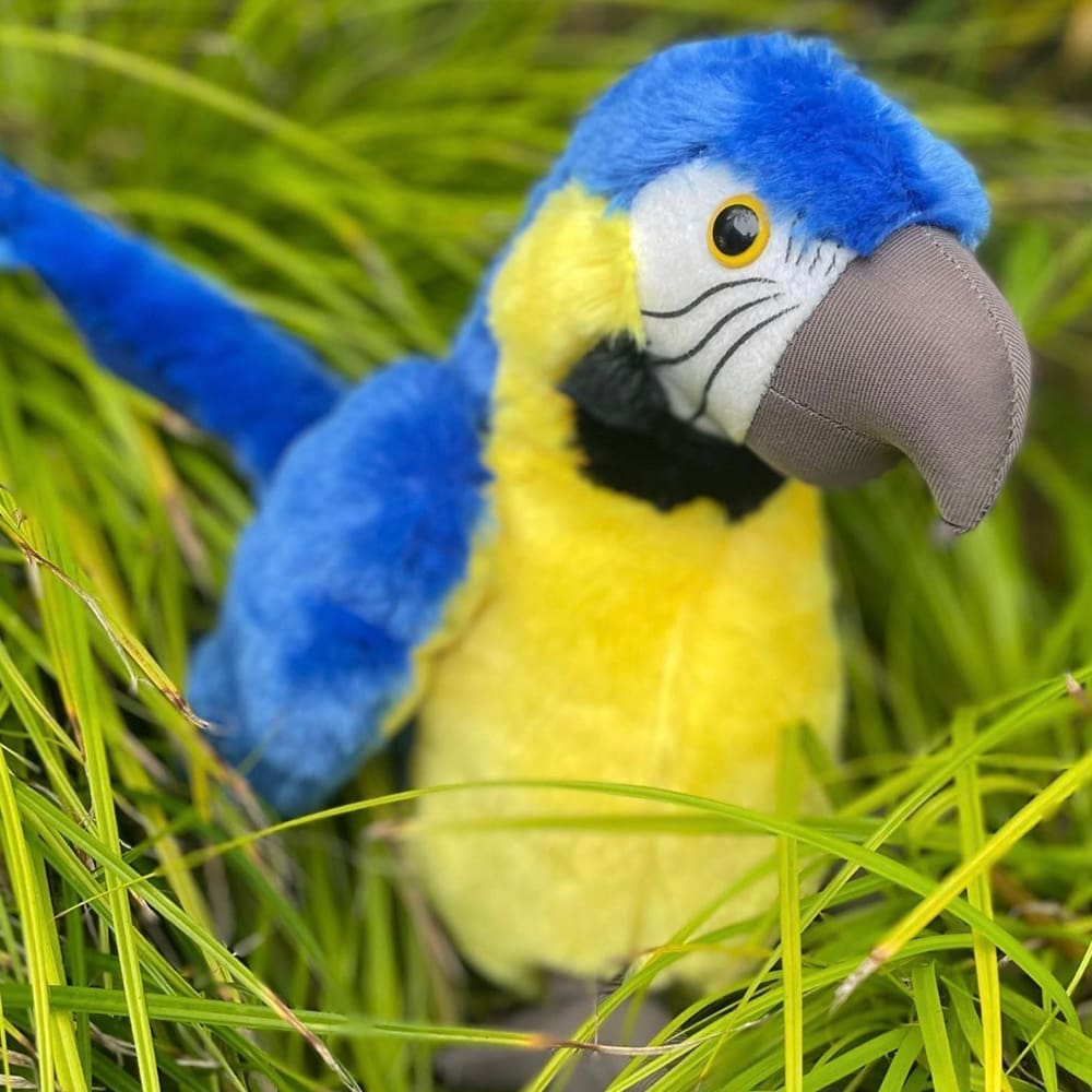Picture of Large Blue and Gold Macaw Plushy (AP) | Wild Zoological Park