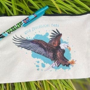 Pencil Case
