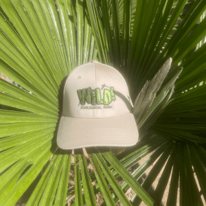 Caphat